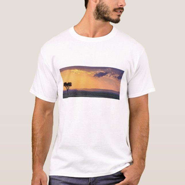 Panoramic view of single acacia tree at T-Shirt (Front)