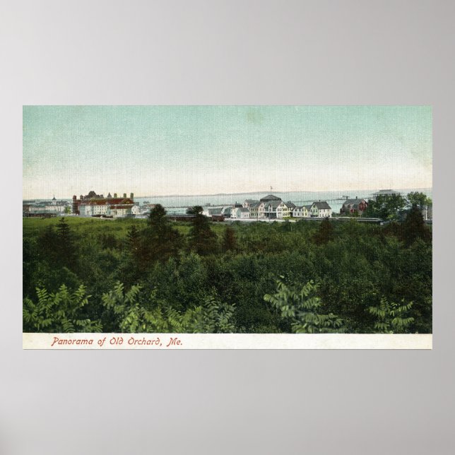 Panoramic View of the City Poster (Front)