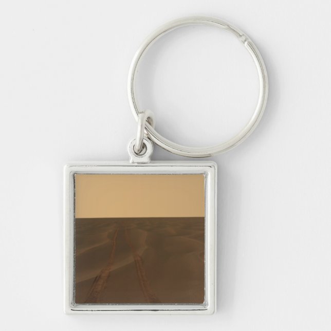 Panoramic view of the plains of Meridiani Key Ring (Front)