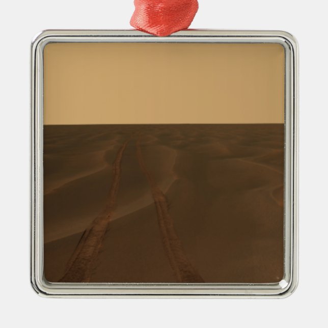 Panoramic view of the plains of Meridiani Metal Tree Decoration (Front)