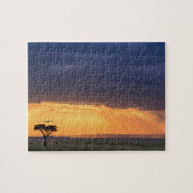 Panoramic view of Vulture and acacia tree Jigsaw Puzzle (Horizontal)