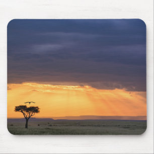 Panoramic view of Vulture and acacia tree Mouse Mat