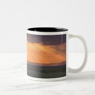 Panoramic view of Vulture and acacia tree Two-Tone Coffee Mug