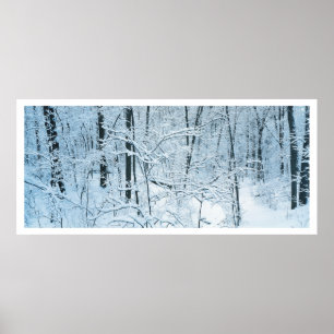 Panoramic Winter landscape Poster