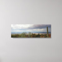 Panoromic of Arizona Monsoon Landscape