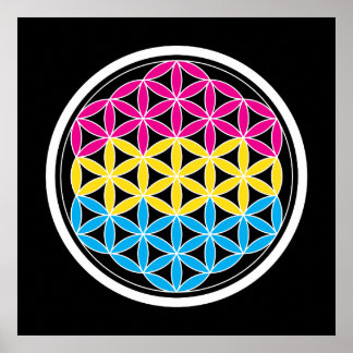 panSacred geometry Poster