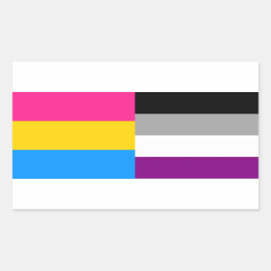 Pansexual/asexual pride flags sticker