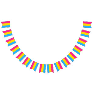 Pansexual Flag Bunting Banner LGBT Party