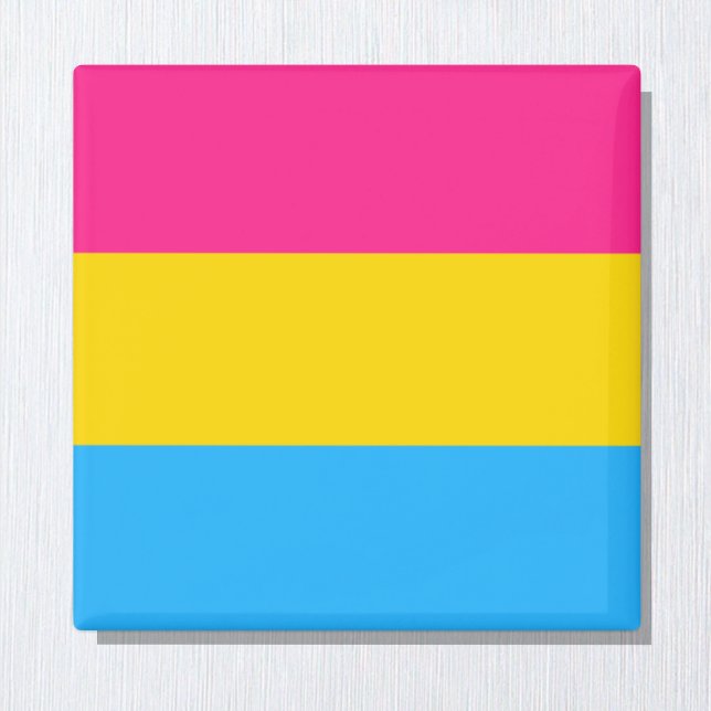Pansexual Flag & Pride community /gender flag Magnet (Creator Uploaded)
