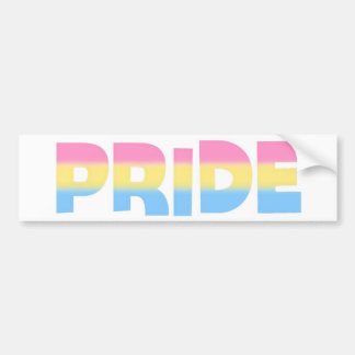 Pansexual/Omnisexual Pride Bumper Sticker