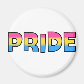 Pansexual/Omnisexual Pride Magnet