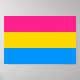 Pansexual Pride Colours Poster
