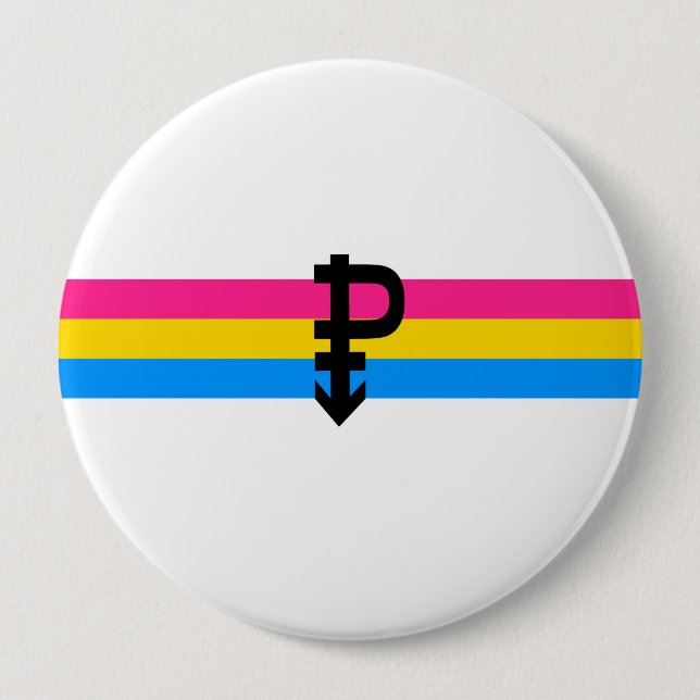Pansexual Pride Flag 10 Cm Round Badge (Front)