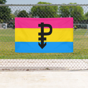 Pansexual Pride Flag Banner