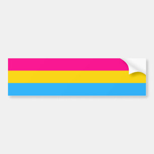 "PANSEXUAL PRIDE FLAG" BUMPER STICKER
