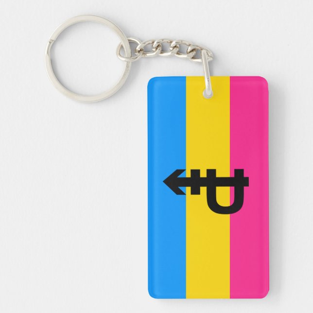 Pansexual Pride Flag Key Ring (Front)
