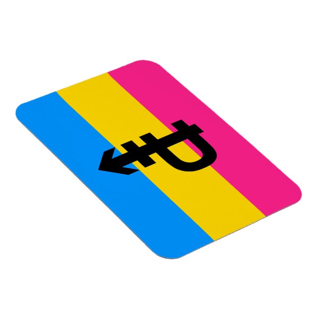 Pansexual Pride Flag Magnet (Right Side)