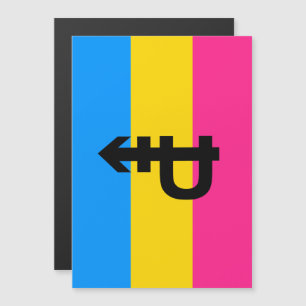 Pansexual Pride Flag Magnetic Invitation