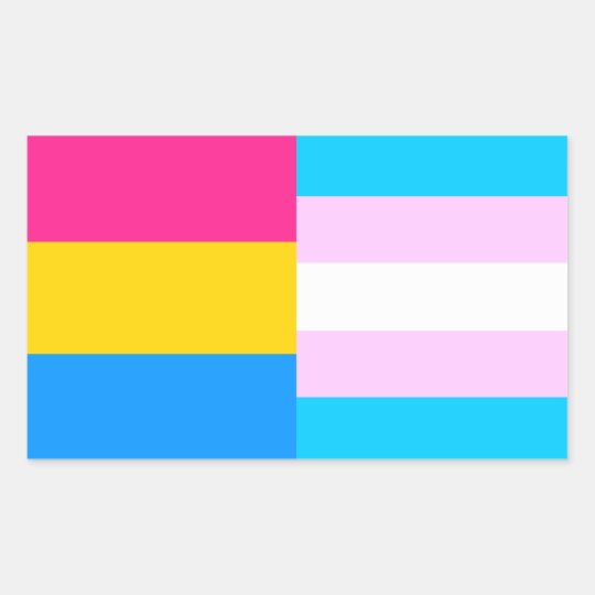 Pansexual Trans Pride Flags Sticker Uk