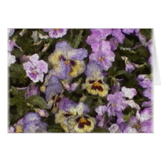 Pansies 01