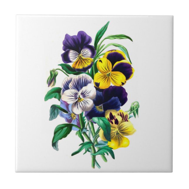 Pansies Ceramic Tile (Front)