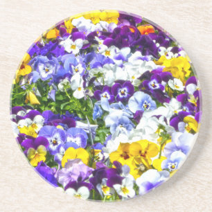 Pansies Coaster