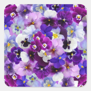 Pansies Easter Spring Flowers Square Sticker