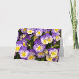 Pansies Greeting Card