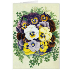 Pansies Greeting Card