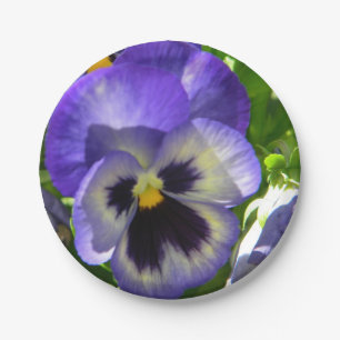 Pansies Life Paper Plate