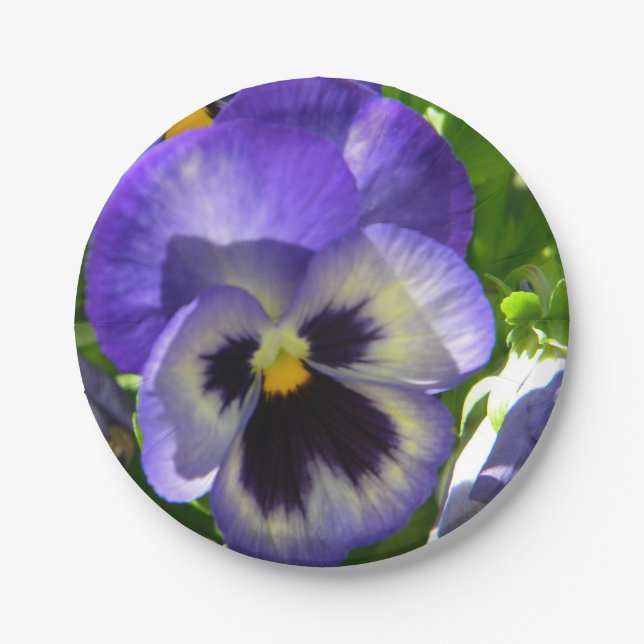 Pansies Life Paper Plate (Front)