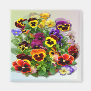 PANSIES  ~ Magnet