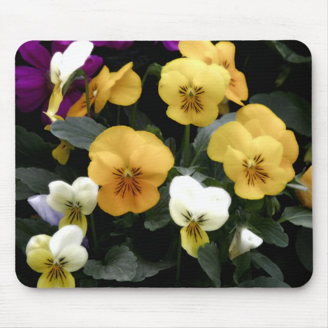 Pansies Mouse Mat (Front)