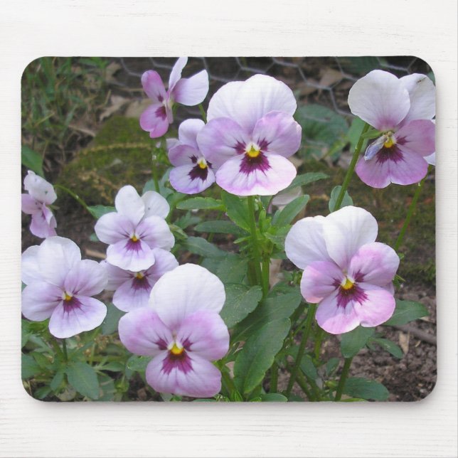 Pansies Mouse Mat (Front)