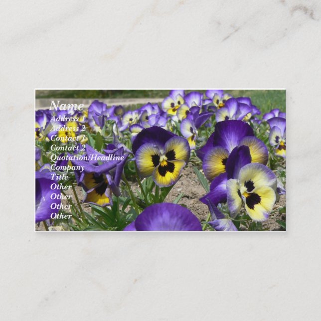 Pansies on Parade Business Card (Front)