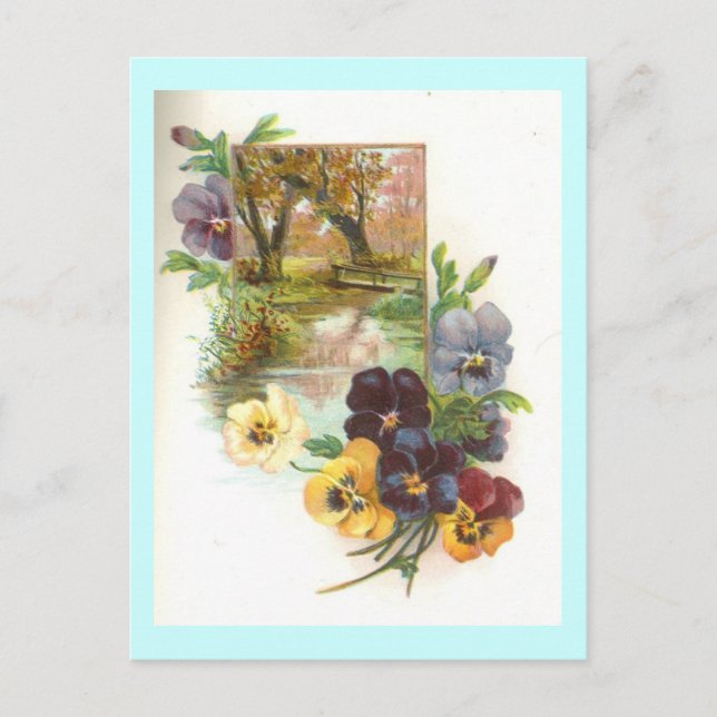 pansies postcard (Front)