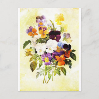 Pansies Postcard