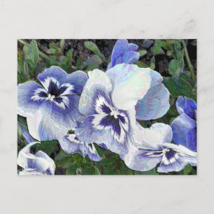 PANSIES POSTCARD