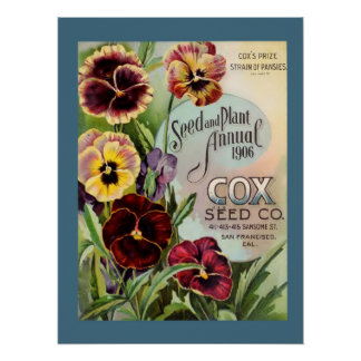 Pansies Poster
