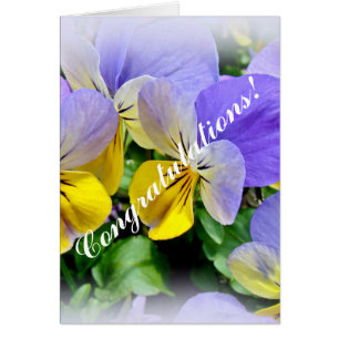 Pansies - Purple and Yellow - Congratulations