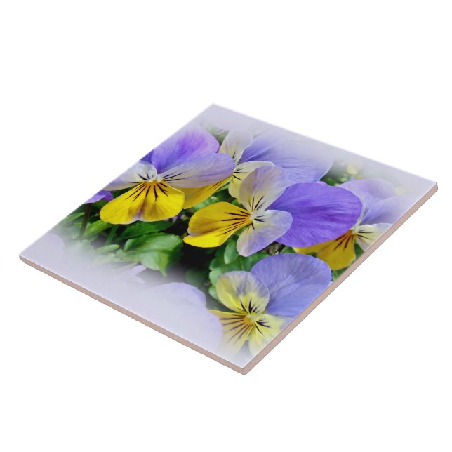 Pansies - Purple and Yellow Tile (Side)