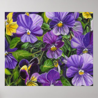 Pansies, "Purple Pansies" by Jenny Koch Poster