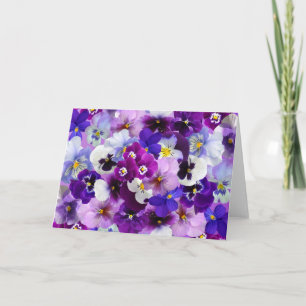 Pansies Spring Flowers Blank Greeting Card