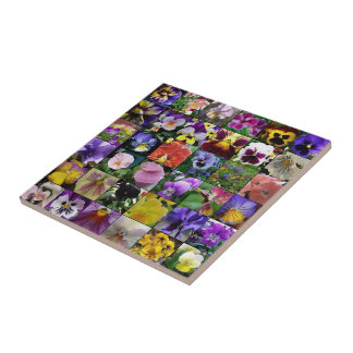 Pansies Tile