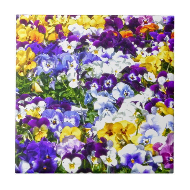 Pansies Tile (Front)