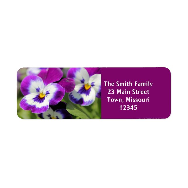 Pansy (Front)