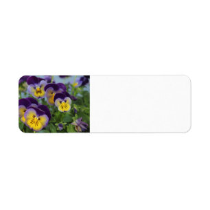 Pansy address label
