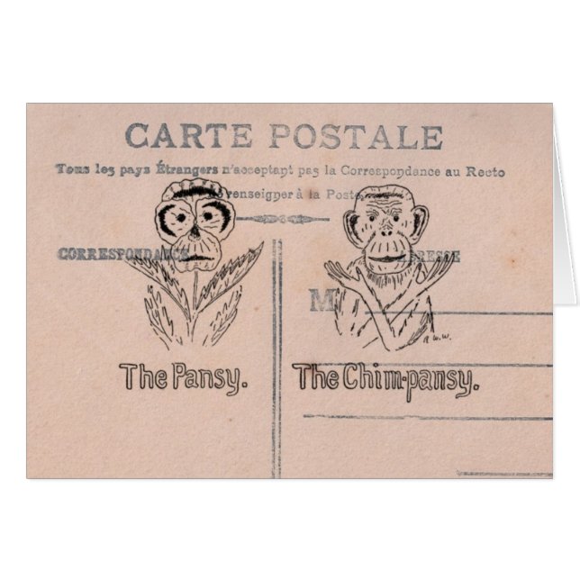 Pansy and Chimp Humour (Front Horizontal)