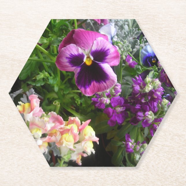 Pansy and friends paper coaster (Front)