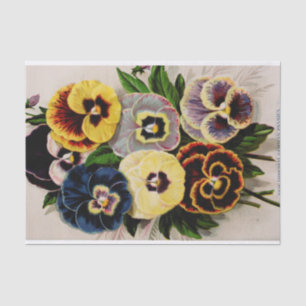 Pansy Antique German Varieties Garden Tissue Paper